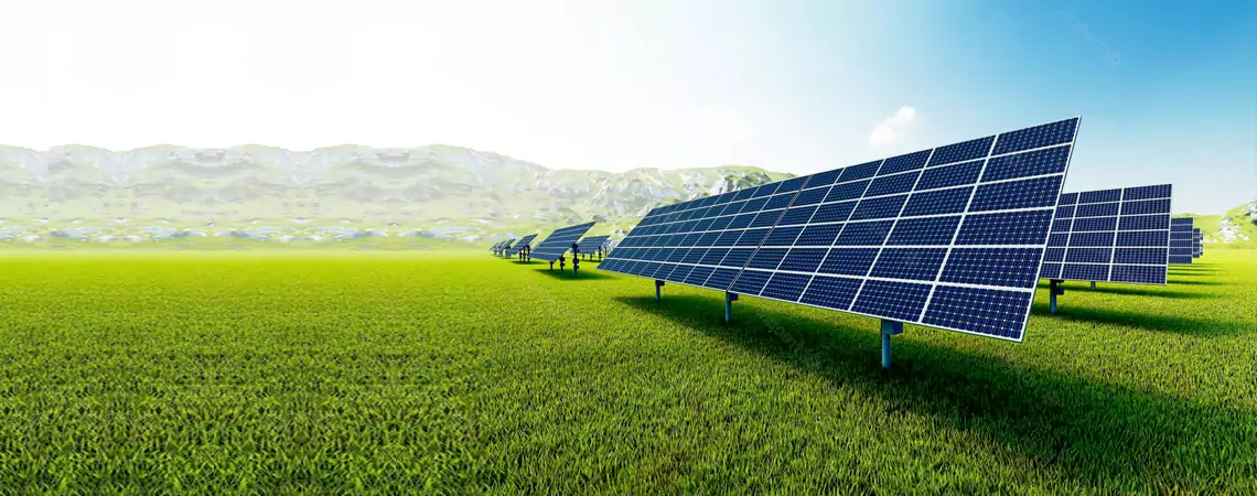 Solar photovoltaic array in an open field